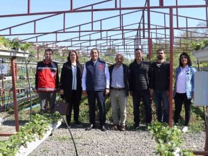 ‘Tarımsal Üretimde En Son Çare Kimyasal Mücadele’