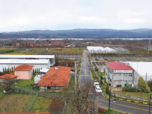 Peyzaj Ve Süs Bitkiciliği İçin Dev Adım: 179 Dekar Alan Üretim Üssüne Dönüştü