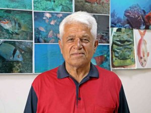 Prof. Dr. Mehmet Gökoğlu: “Yunusların Teknelerle Yarışı Kaybedince İntihar Ettiği İnancı Yanlış”