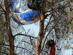 Manisa’da Amatör Paraşütçü Ağaca Asılı Kaldı