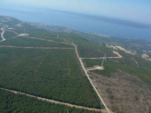 Çanakkale’de 2008 Yılında Küle Dönen Alan Dikilen 2 Milyondan Fazla Fidanla Yeniden Yeşillendi