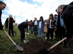 Ai̇çü’de Fidanlar Meyve Vermesi İçin Toprakla Buluşturuldu