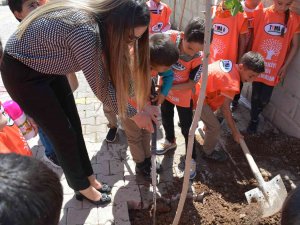 Silopi’de Öğrenciler Tiyatrodan Kazandıkları Parayla Ağaç Dikti