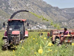 Ören Mahallesinde Tarla Günü