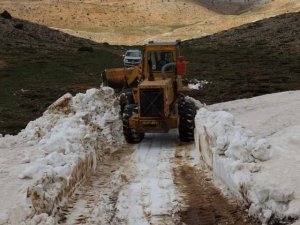Mayıs Ayında Kar Temizliği
