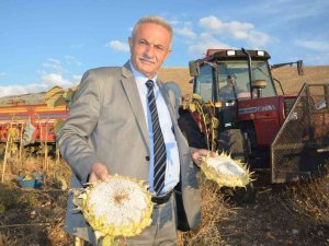 Aktepe “Çiftçiler Ülkemizin Bel Kemiğidir”