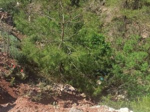 Askere Gitmek İçin Gün Sayan Ve 2 Gündür Aranan Gençten Acı Haber