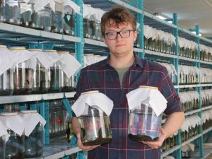 Tıbbi Sülük Talebine Yetişemiyorlar, Milyonlarca Üretilip Dünyaya Satılıyor