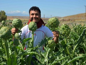 Öğretim Üyesi Memleketi Hatay’da İlk Defa Yetiştirdi