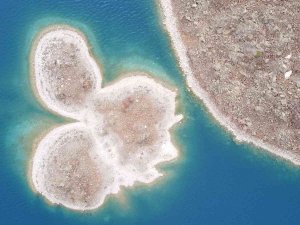 Martı Adası’nın Müdavimleri Dönmeye Başladı