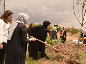 Yeşilin Başkenti Kampanyasına Yurt İçi Ve Yurt Dışından Yoğun İlgi