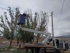 Iğdır’da Elektrik Tellerine Takılan Karga Kurtarıldı