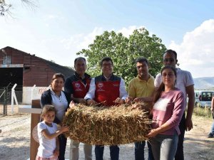 70 Kadın Üreticiye 700 Saman Balyası Dağıtıldı