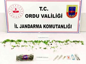 Ordu’da Uyuşturucuya İzin Yok