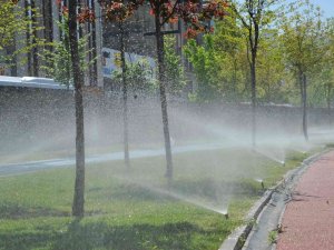 Samsun’da Sivrisineklere Karşı Etkin Mücadele Başlatıldı