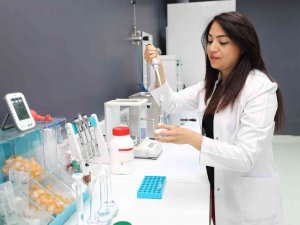 Önce Japonlar Sonra Da Türk Bilim Adamları Araştırdı