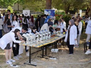 Öğrencilerin Projeleri ‘Bilim Ve Sanat Şenliği’nde Sergileniyor