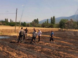 Milas’ta Arazi Yangını