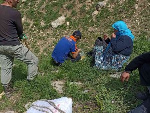 Hakkari’de Pancar Toplarken Ayağı Kırılan Kadın Kurtarıldı