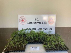 16 Olayda 22 Şüpheli Gözaltına Alındı