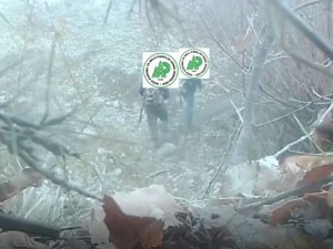 Yaban Hayatını Gözlemlemek İçin Kurulan Fotokapana Kaçak Avcılar Da Yakalandı