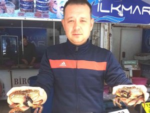 Güneşlenirken Avlanan Pavurya Yengeçler Kilosu 80 Liradan Satılıyor