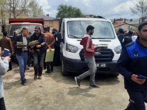 Özalp Belediyesi 30 Bin Sebze Fide Dağıttı