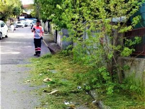 Maltepe’nin Dört Bir Yanında Bakım Mesaisi