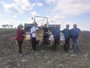 Saray’da Ayçiçek Çeşit Denemesi Yapıldı