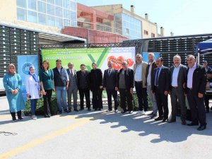 Akyurt’ta 1 Milyon Sebze Fidesi Dağıtıldı