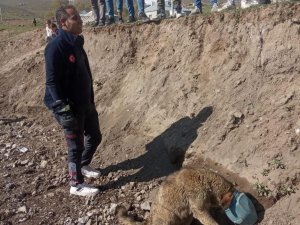 Kafası Bidona Sıkışan Köpek Kurtarıldı