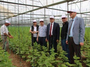 Konya’da İ̇yi Tarım Uygulamalarının Yaygınlaştırılması Projesi Sürüyor