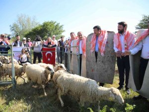 Bergama’da Hayvan Otlatma Sezonu Açıldı