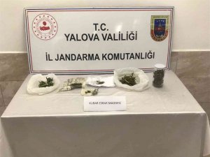 Hırsızlık Mallarını Uyuşturucu İle Takas Eden Zehir Taciri Tutuklandı