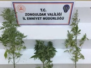 Zonguldak’ta Uyuşturucu Operasyonu: 1 Şüpheli Yakalandı