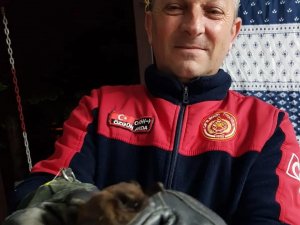 Çiftlikköy’de İtfaiyeden Hayvan Kurtarma Operasyonları