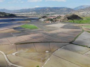 ’Beyaz Altın’ın Sofralara Uzanan Yolculuğu Başladı