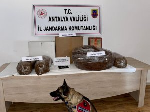 Jandarmadan Uyuşturucu Madde Ve Tütün Kaçakçılığı Operasyonu