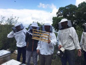 Arıcılara Apiterapik Ürün Eğitimi