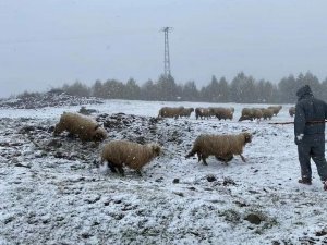 Ordu’da Mayıs Ortasında Yağan Kar Şaşırttı