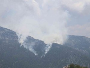 Alanya’da Orman Yangını