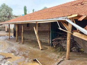 Yağış Nedeniyle Mandıralar Çöktü, Hayvanlar Telef Oldu