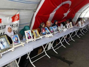 Ailelerin Kararlı Direnişi 990’ıncı Gününde