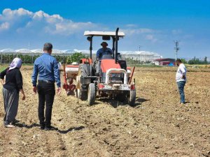 Tarsus’ta Soya Fasulyesi Ekimi Yapıldı