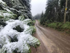 Bolu’nun Yüksek Kesimlerine Mayıs Ayında Kar Yağdı