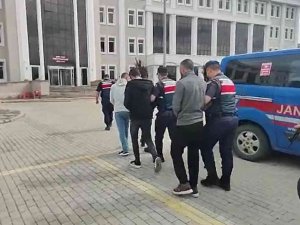 Yalova’da Kablo Ve Odun Hırsızlığı Zanlısına Tutuklama