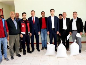 Bingöl’de Çiftçilere Fasulye Tohumu Dağıtıldı
