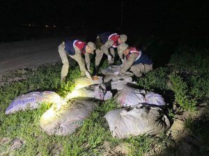 Muradiye’de Kaçak Avlanmış 6,5 Ton Balık Ele Geçirildi