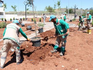 Şanlıurfa’da Yeşil Alan Artırma Çalışması