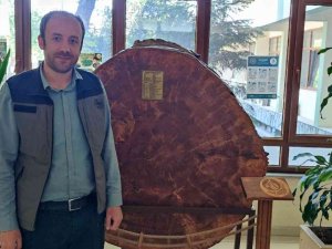 Bu Karaçam 18 Dünya Olayına Tanıklık Etti